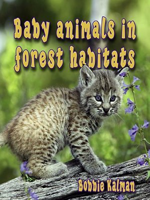 cover image of Baby Animals In Forest Habitats